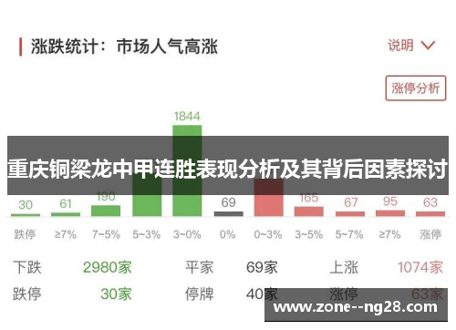 重庆铜梁龙中甲连胜表现分析及其背后因素探讨 重庆铜梁龙中甲连胜表现分析及其背后因素探讨