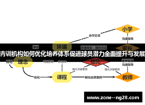 青训机构如何优化培养体系促进球员潜力全面提升与发展