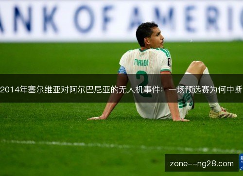 2014年塞尔维亚对阿尔巴尼亚的无人机事件:一场预选赛为何中断 2014年塞尔维亚对阿尔巴尼亚的无人机事件:一场预选赛为何中断