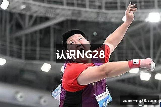 认识NG28